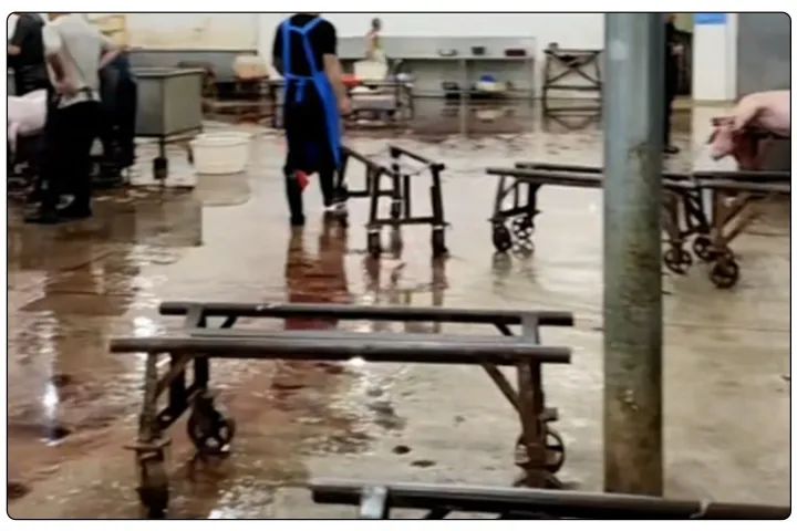 屠宰工廠惡臭影響周邊，使用除臭劑有什么注意要點？.jpg