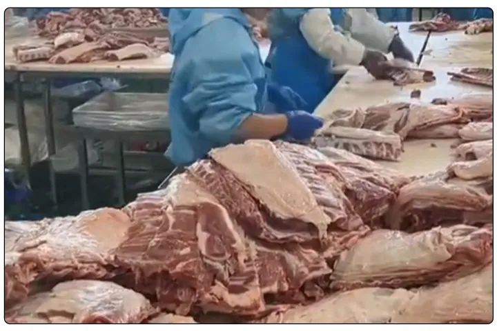 屠宰工廠惡臭影響周邊，使用除臭劑有什么注意要點？.jpg